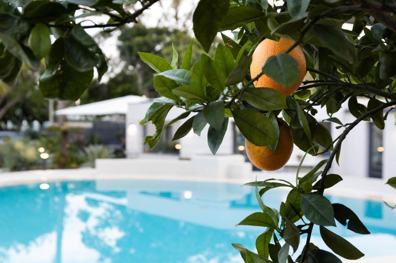 Masetta - Luxury Casa de hóspedes 4*